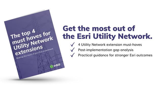 The top 4 must-haves for Utility Network extensions